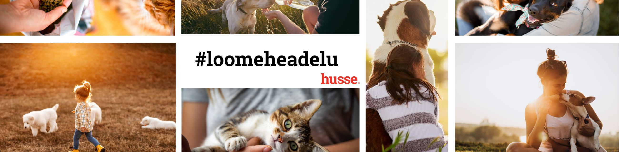 Business media page visits - 595; followers - 2. Reviews - 0; Articles 1+ 