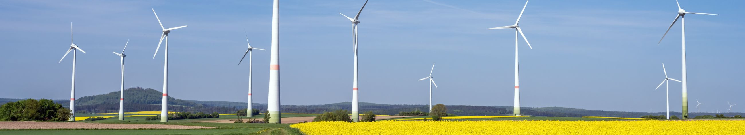 Kõige põhjalikum ülevaade  ettevõttest - 50 erinevat interaktiivset graafikut ja analüütilist mudelit. Hind 49 EUR või kuutasu alates 19 EUR