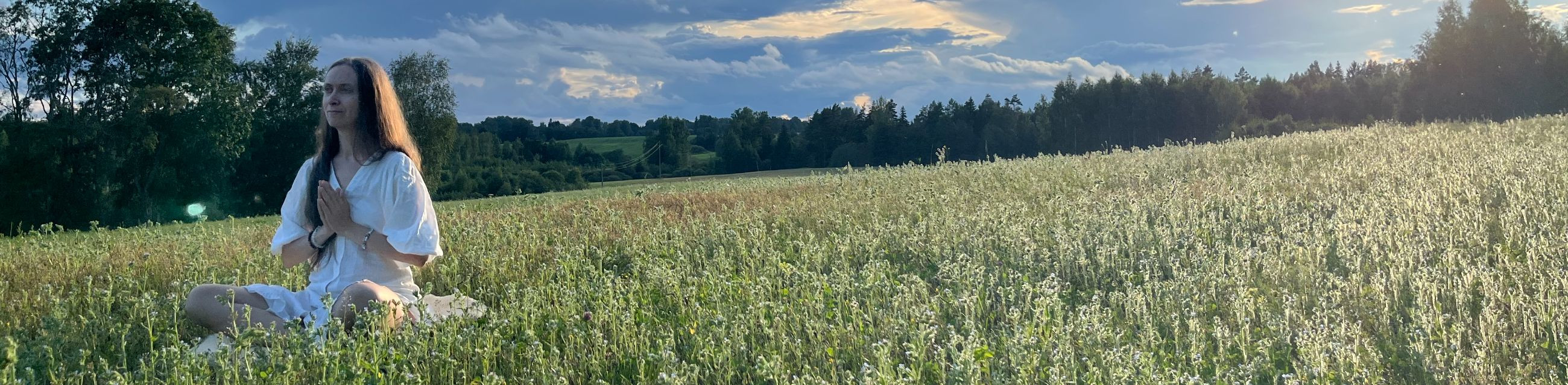 Maksuvõlad puuduvad, kohtulahendid puuduvad, kohtuistungid puuduvad, majandusaasta aruanded esitatud. Peamine vastutav kõneisik, Merle.kann12@gmail.com, +372 5202196