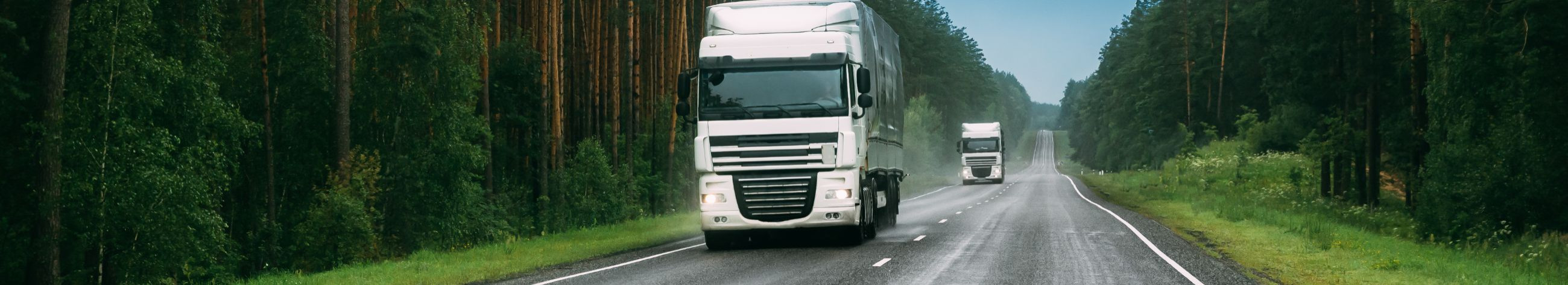 Pakume terviklikke logistikateenuseid, sealhulgas ladustamist, pakkimist ja transpordi koordineerimist.
