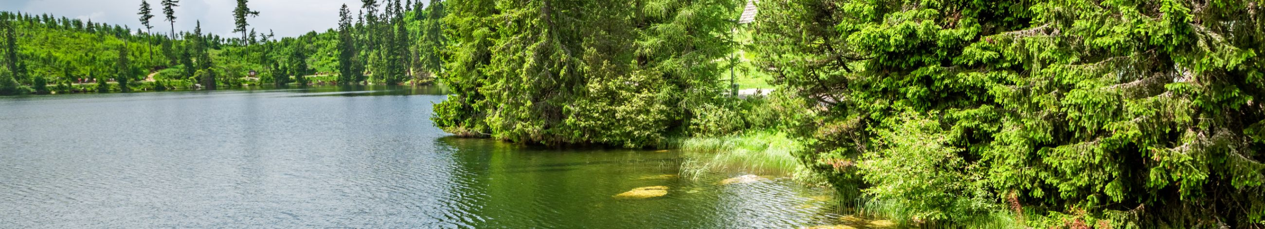 Ettevõtete maksuvõlad puuduvad, teadaanded puuduvad, kohtulahendid puuduvad, kohtuistungid puuduvad, majandusaasta aruanded esitatud. Ettevõtteid jälgib 0 inimest.