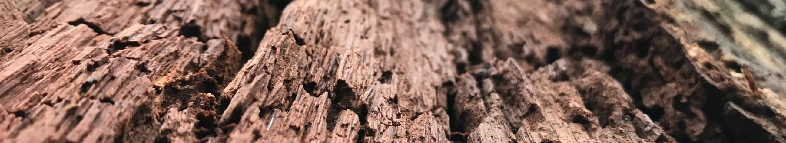 We help to cope with complex moments, relationships and internal equilibrium. We offer support towards self-consciousness, more peaceful thinking and a more informed life.