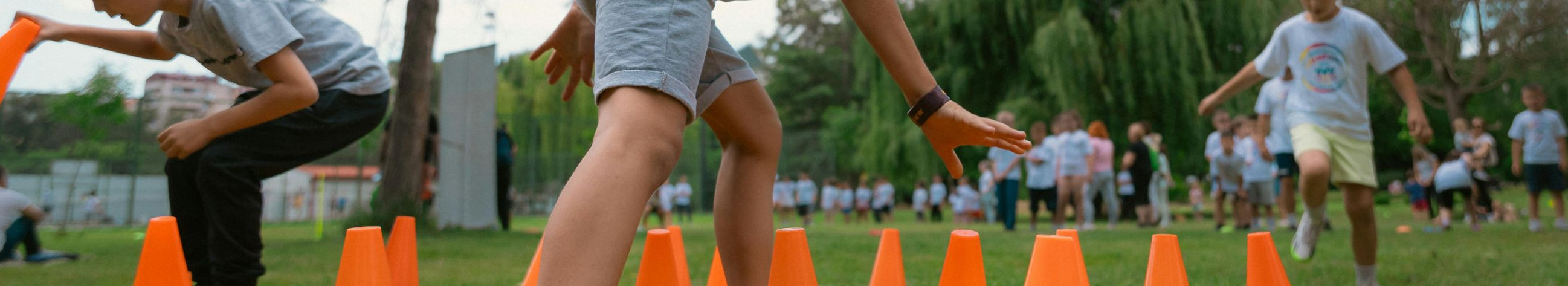 Children's sports training, adult sports courses, Training of trainers, Summer camps and sports camps, Preparation of movement programmes, Playing sports training, Development of sports skills, individual sports training, Fitness training, health sports