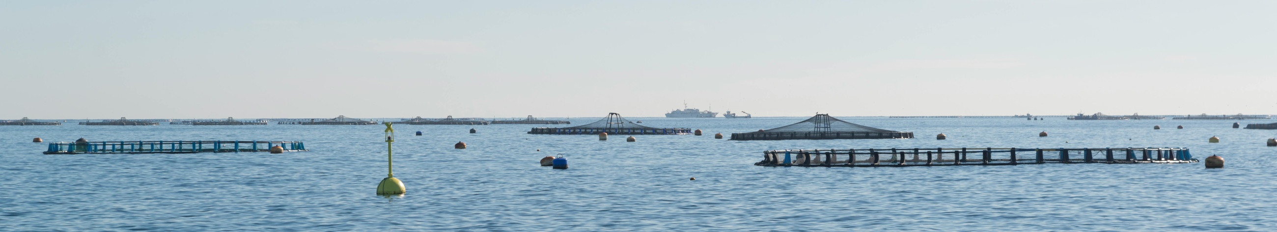 Complete fish management systems that support the well-being, quality and efficient operation of fish. Reliable solution for both cultivation, fishing and 24-hour support.