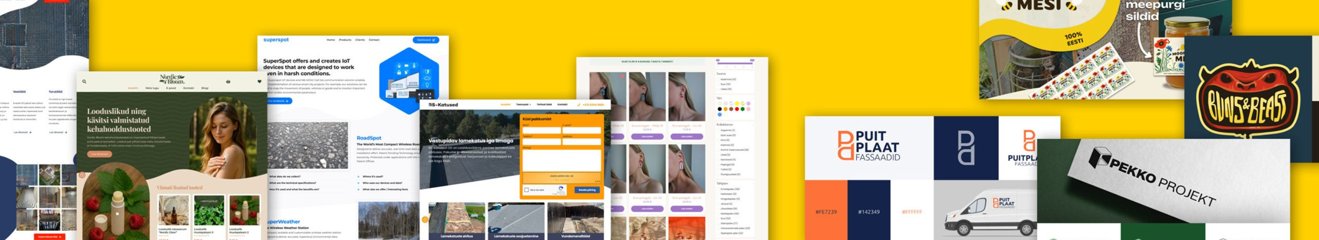 maandumislehed, kodulehe haldamine, kodulehe uuendamine, WORDPRESS VEEBILEHED VÄIKEETTEVÕTETELE, kasutajasõbralik veebidisain, Äriveebid, e-poed, disainerid, professionaalne logo loomine, loov disainiagentuur