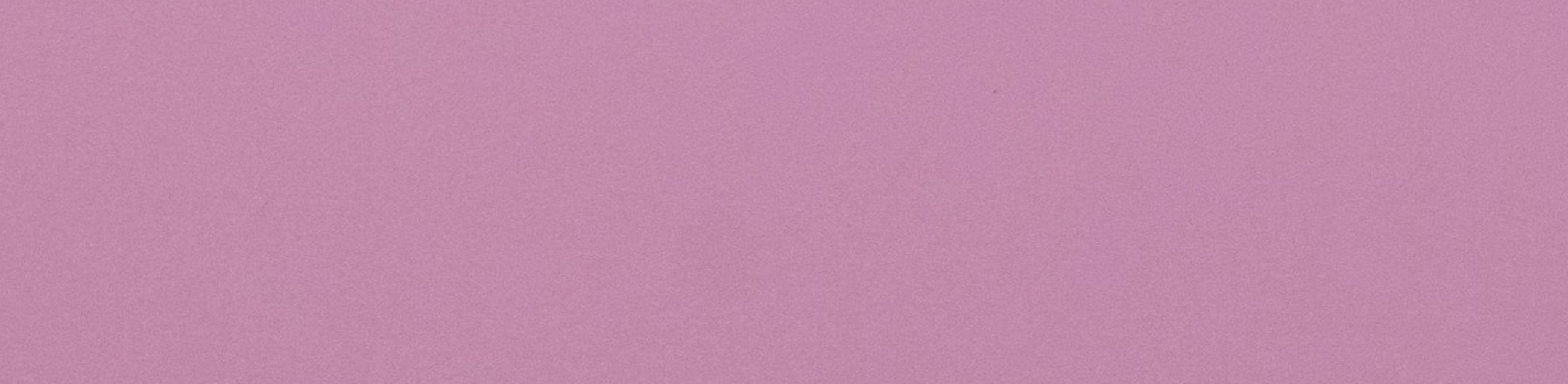 virtual assistant, photography in Tartu and Estonia, visual branding, UGC creator, business support