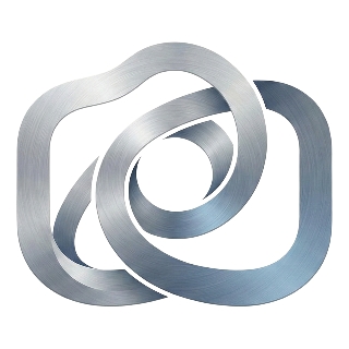 RAAVI OÜ logo