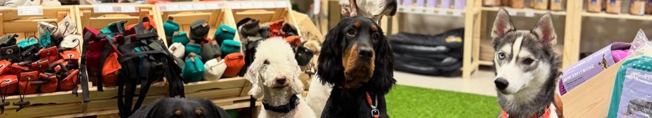 Eesti veebipood lemmikloomatarvetega. Pakume laia valikut koera- ja kassitarbeid, treeninguvahendeid ja eritoite ning mugavat kohaletoimetamist või järelkättesaamist Järve Keskuse ligidal.