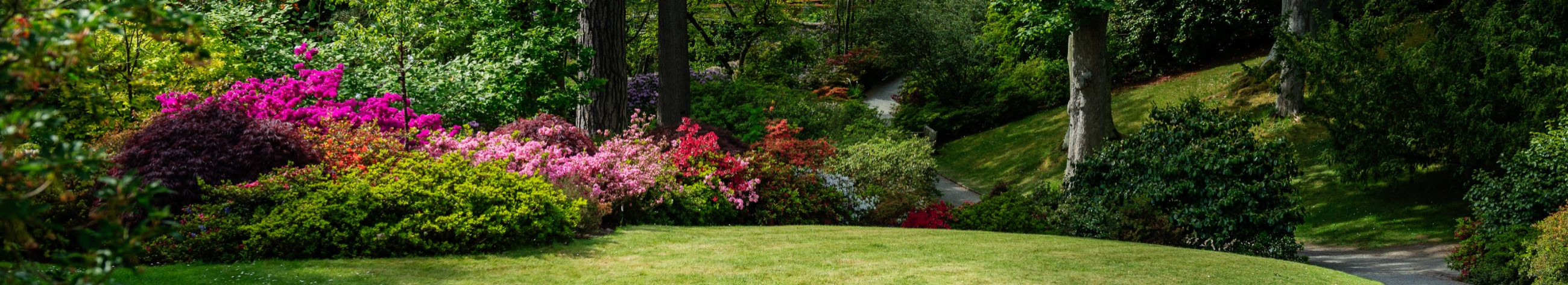 Landscaping works, green space maintenance, Establishment of landscaping, ISTUTION WORK, garden upkeep, Planning landscaping, maintenance of watering systems, lawn mowing, hedge pruning service, harvesting of leaves