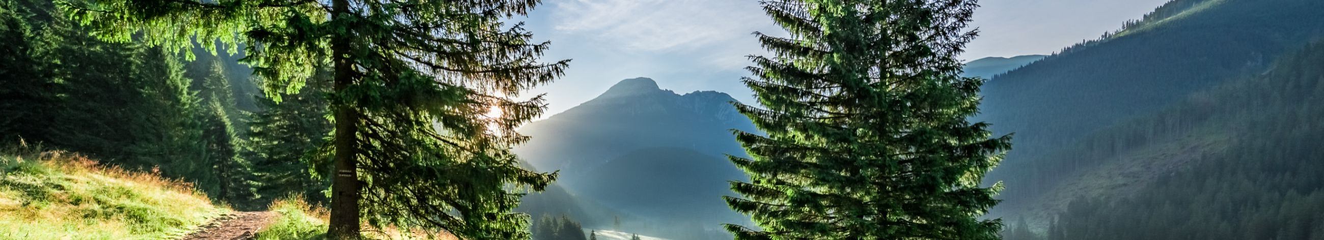 Pakume Tartus ja Lõuna-Eestis vabaajatarvete renti ning juhendatud vabaõhutegevusi. Meie eesmärk on tuua inimesed loodusele lähemale, pakkudes kvaliteetset matkavarustust, tõukekelke, välimänge ja peresõbralikke matkaseiklusi.