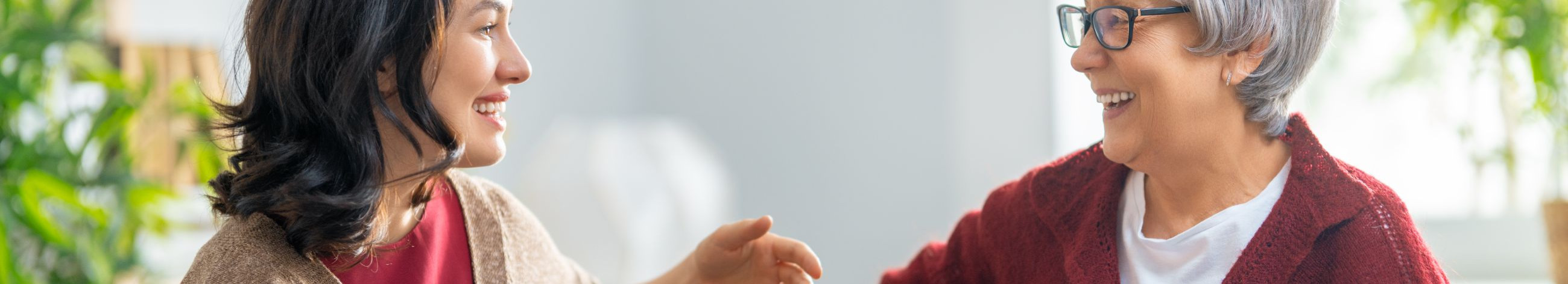 Pakume kohandatud koduabi ja seltskonnateenuseid, et muuta klientide igapäevane elu lihtsamaks ja rõõmsamaks.