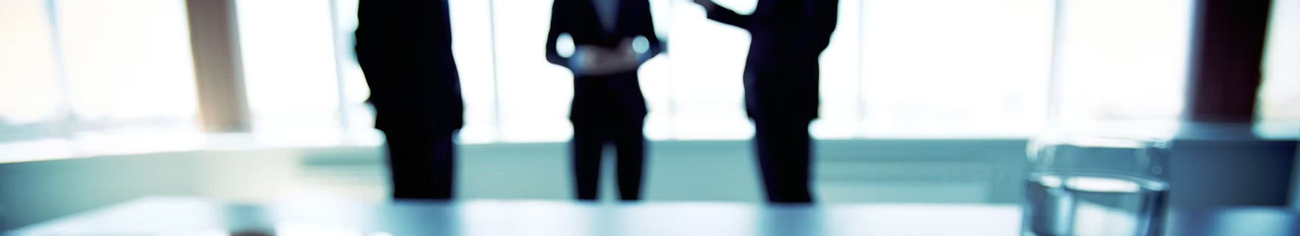 HSEE Consulting is an internationally experienced business consulting firm that supports companies in strategic management, process development, and the creation of security solutions.