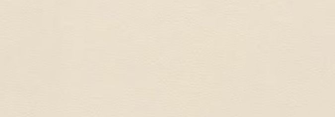 An online curated hub for viral, problem-solving, visually satisfying products