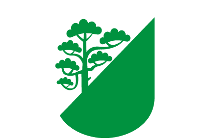 RAASIKU VALLAVALITSUS logo