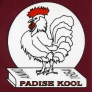 PADISE PÕHIKOOL logo