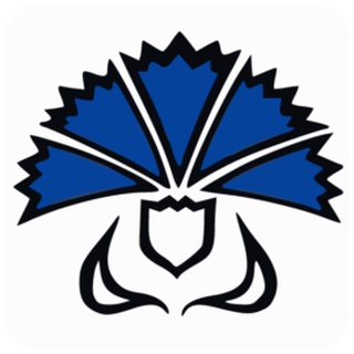 VÄIMELA LASTEAED RUKKILILL logo