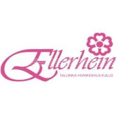 ELLERHEINA SELTS MTÜ - Music and art education in Tallinn