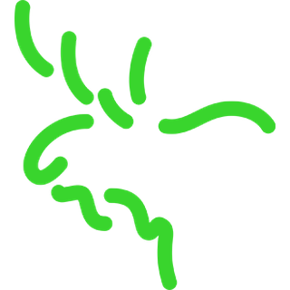 ORIENTEERUMISKLUBI VÕRU MTÜ logo