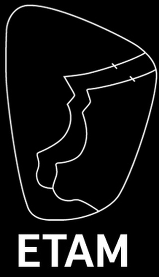 EESTI TEADUSTE AKADEEMIA MEESKOOR MTÜ logo