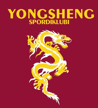 SPORDIKLUBI YONGSHENG MTÜ logo