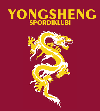 SPORDIKLUBI YONGSHENG MTÜ логотип