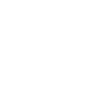 ISAMAA NOORTEÜHENDUS RESPUBLICA MTÜ logo