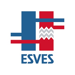 EESTI VERESOONTE- JA ENDOVASKULAARKIRURGIA SELTS MTÜ logo