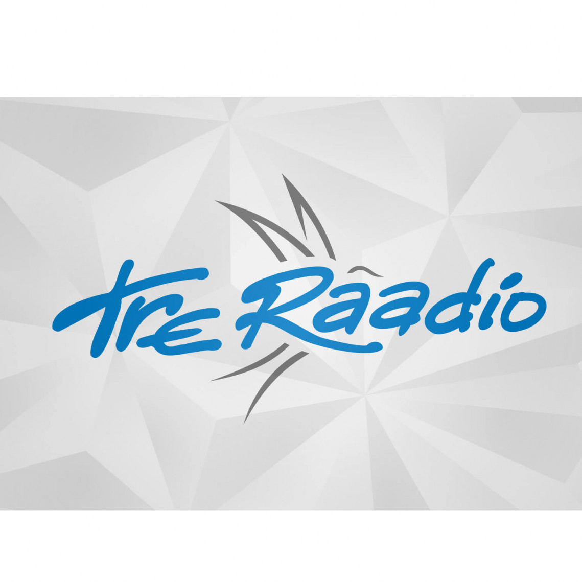 TRE RAADIO ÜHING MTÜ - Other professional, scientific and technical activities n.e.c. in Rapla