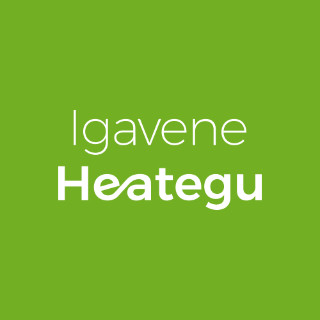IGAVENE HEATEGU MTÜ logo