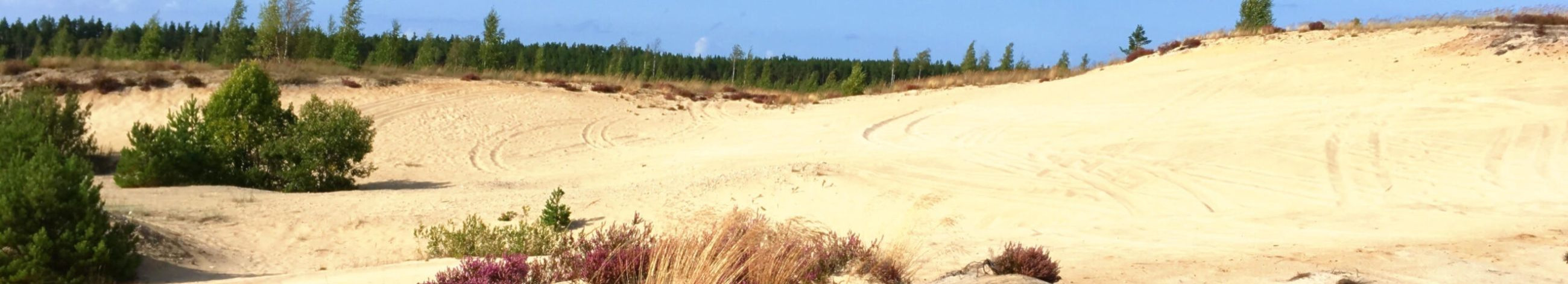 looduspõhised mängud lastele, harivad loodusreisid, keskkonnaharidus lastele, metsiku looduse ja taimede määramise kursused, õuesõppe kogemused, kooliekskursioonid loodusesse, meeskonnamängud looduses, toitlustamine, õpetajate koolitused, looduskooli majutus