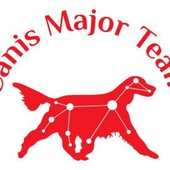 CANIS MAJOR TEAM MTÜ - Other amusement and recreation activities not classified elsewhere in Tallinn
