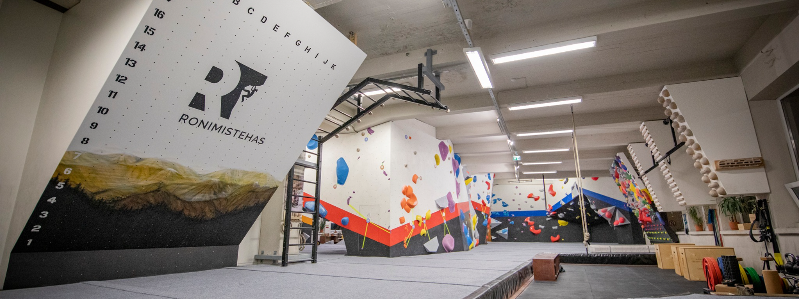 MÄEHAIGUS MTÜ - children's and youth training, adult workouts, eratrennes, bouldering def, bouldering abc, Events, sessi...