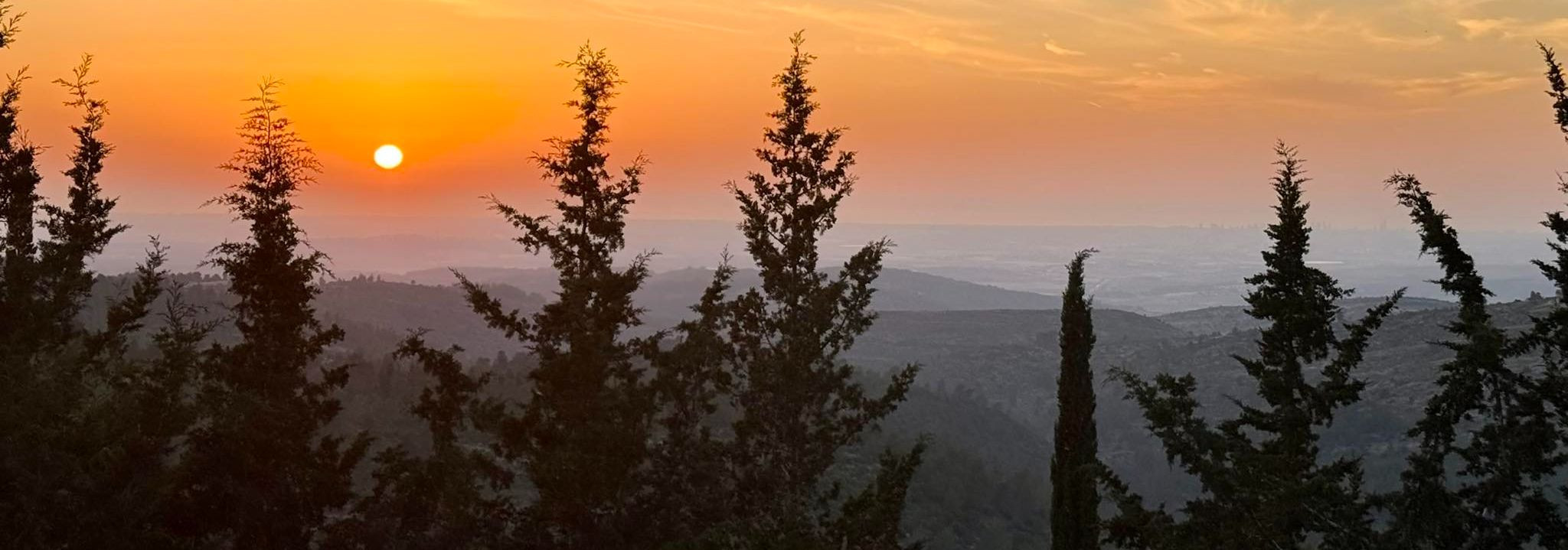 Business media page visits - 276; followers - 2. Reviews - 0; Articles 1+ 