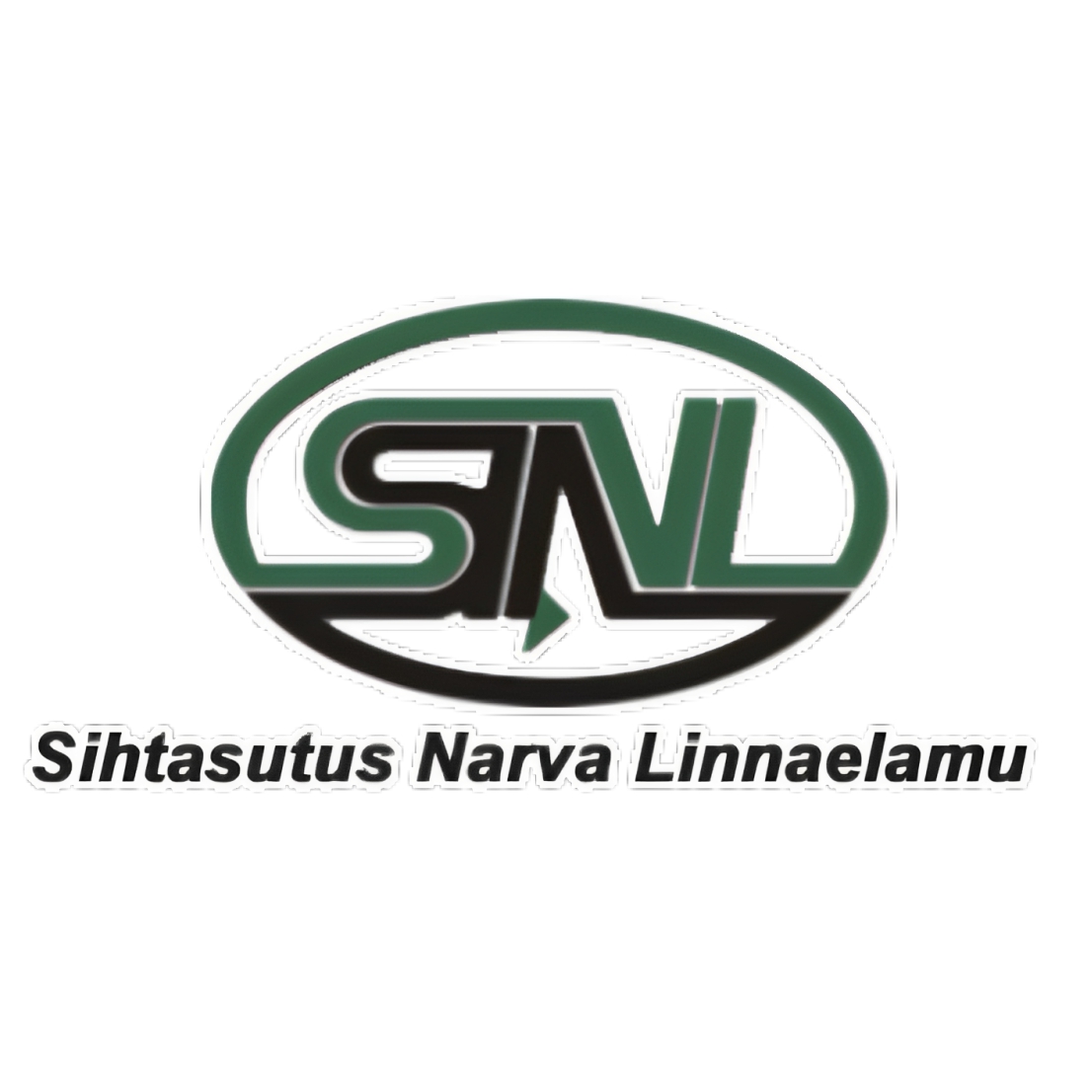 NARVA LINNAELAMU SA logo