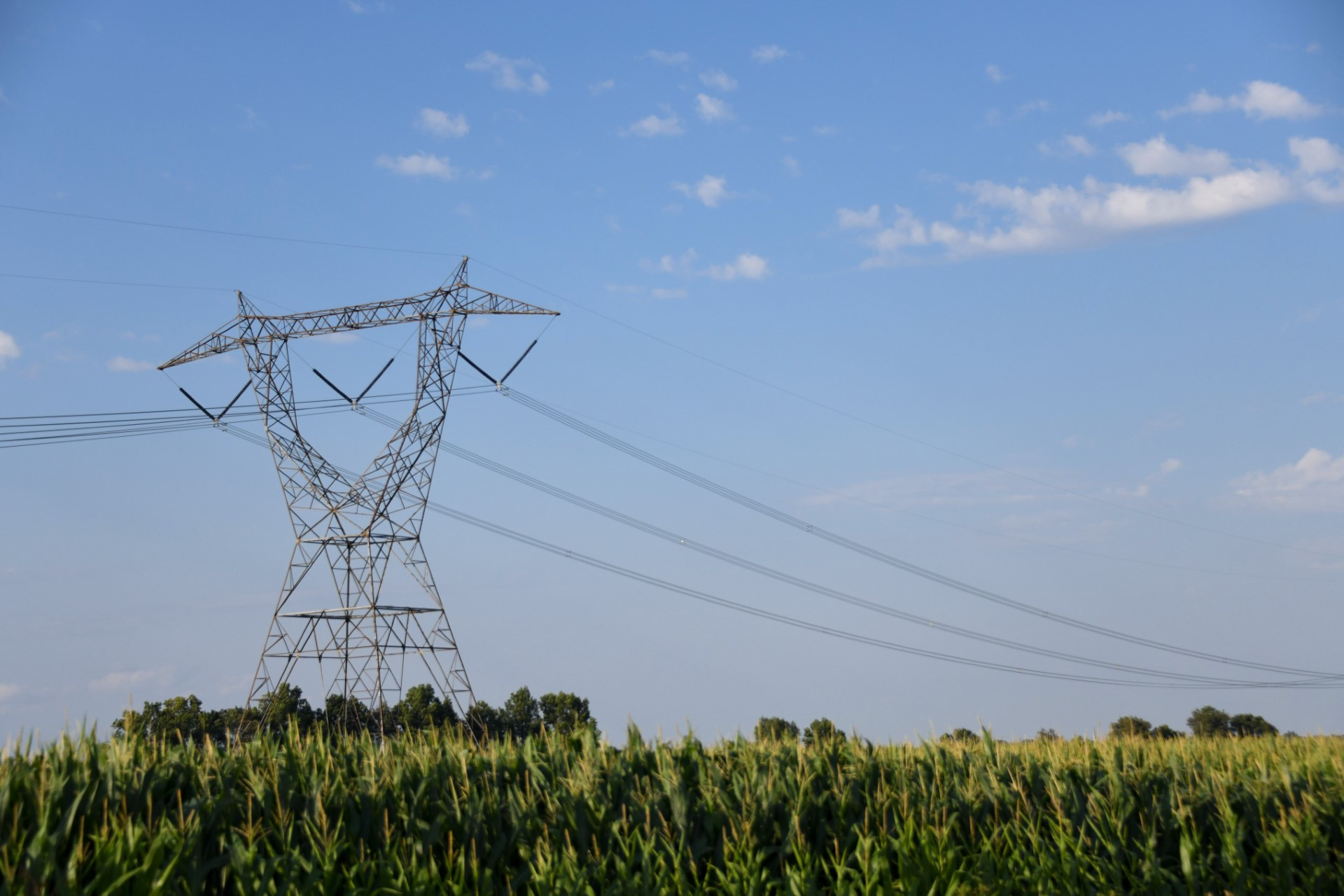 Projekti lühikirjeldus: Elektrienergia ost Alutaguse vallas 2025-2026. Valdkond: ElekterEeldatav maksumus: PUUDUBProjekti tellija: ALUTAGUSE VALLAVALITSUSVastut