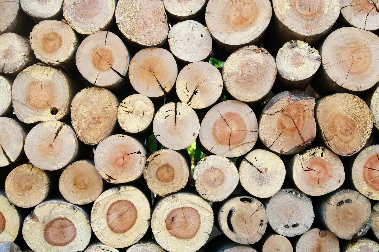 Logging in Saaremaa vald