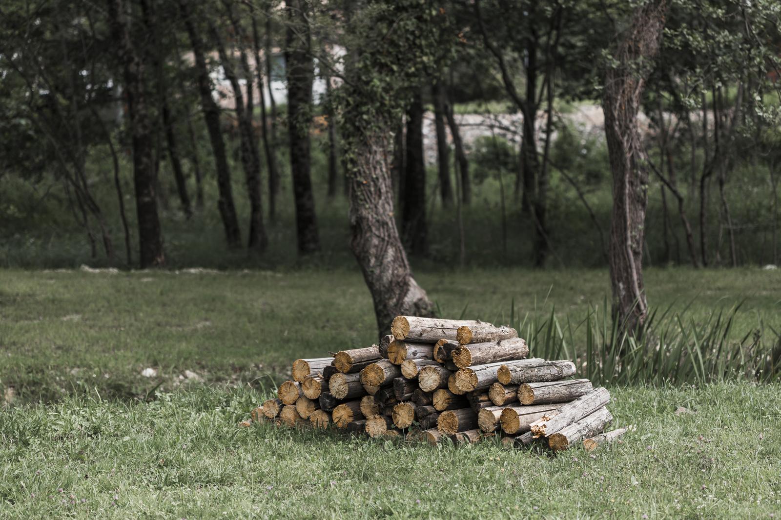 Logging in Estonia