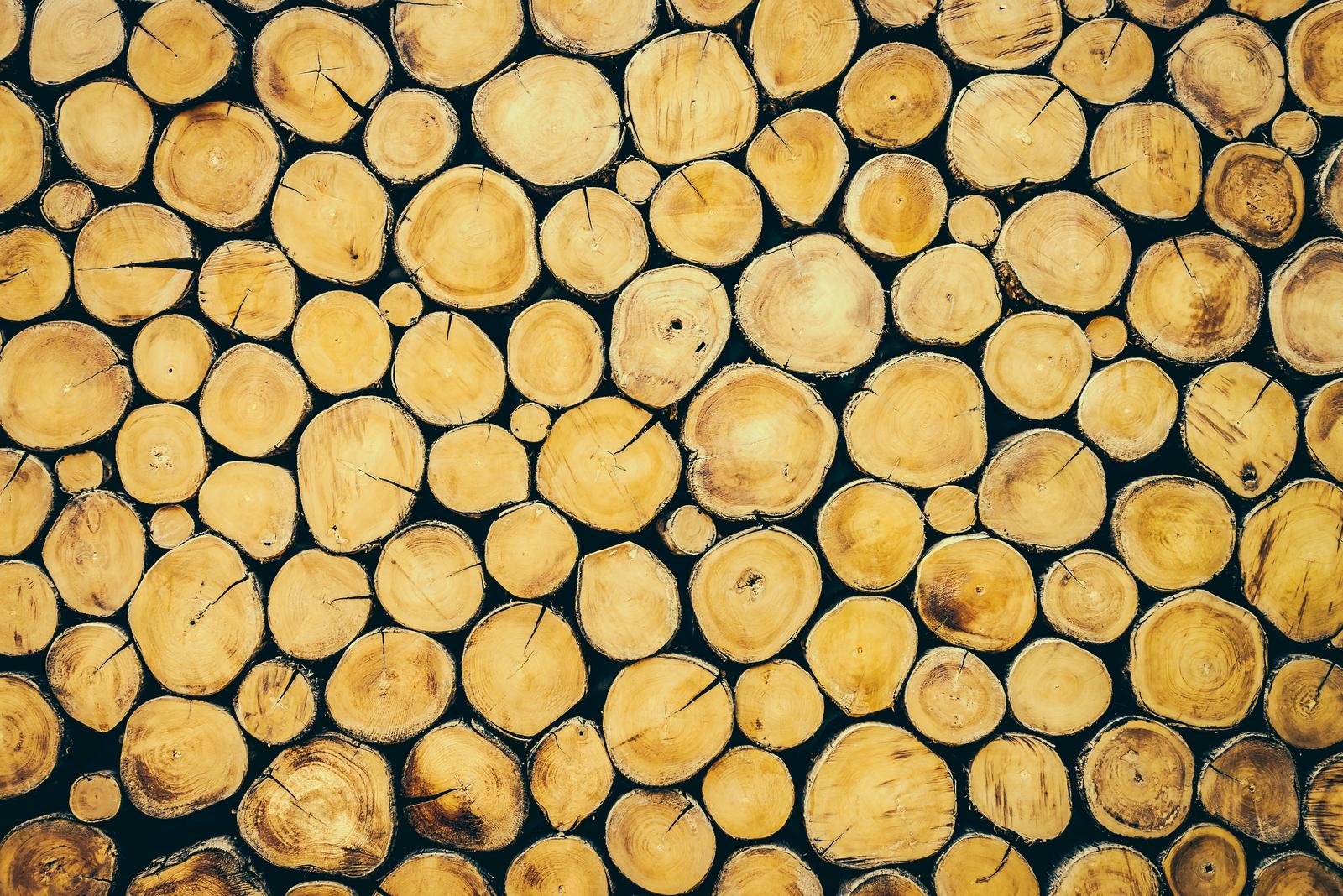 Logging in Viljandi county