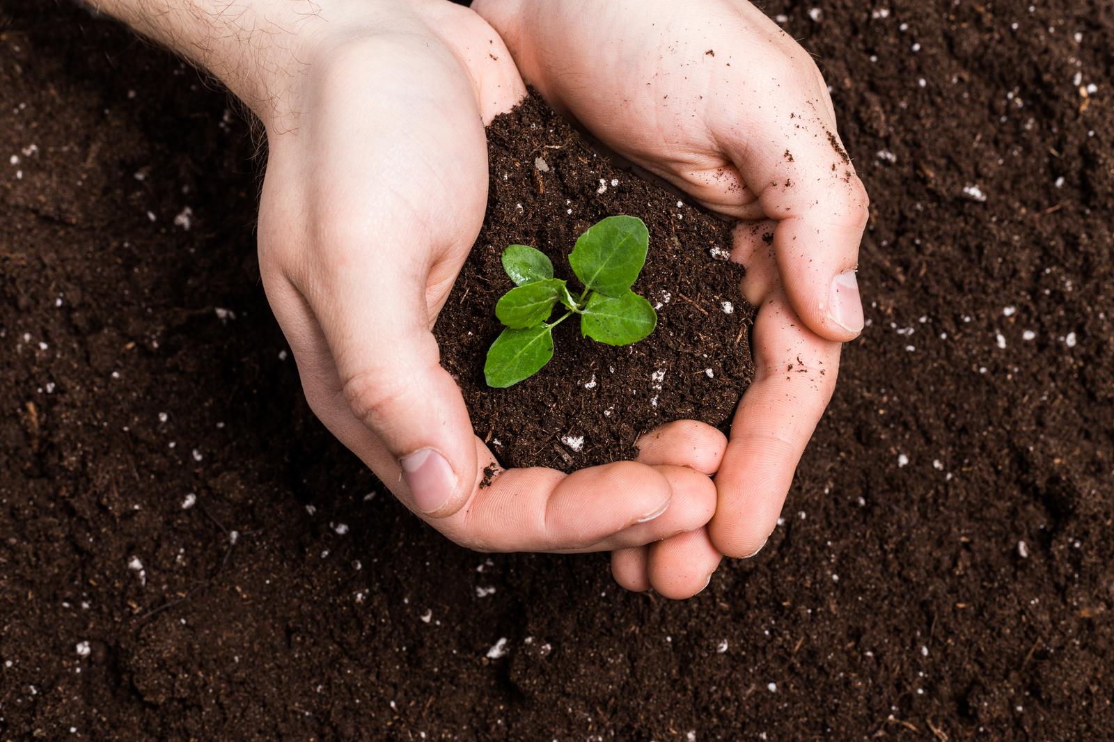 BIOLAN BALTIC OÜ - Teavet, juhiseid ja tooteid aiapidamiseks ja keskkonnasõbralikuks eluviisiks.