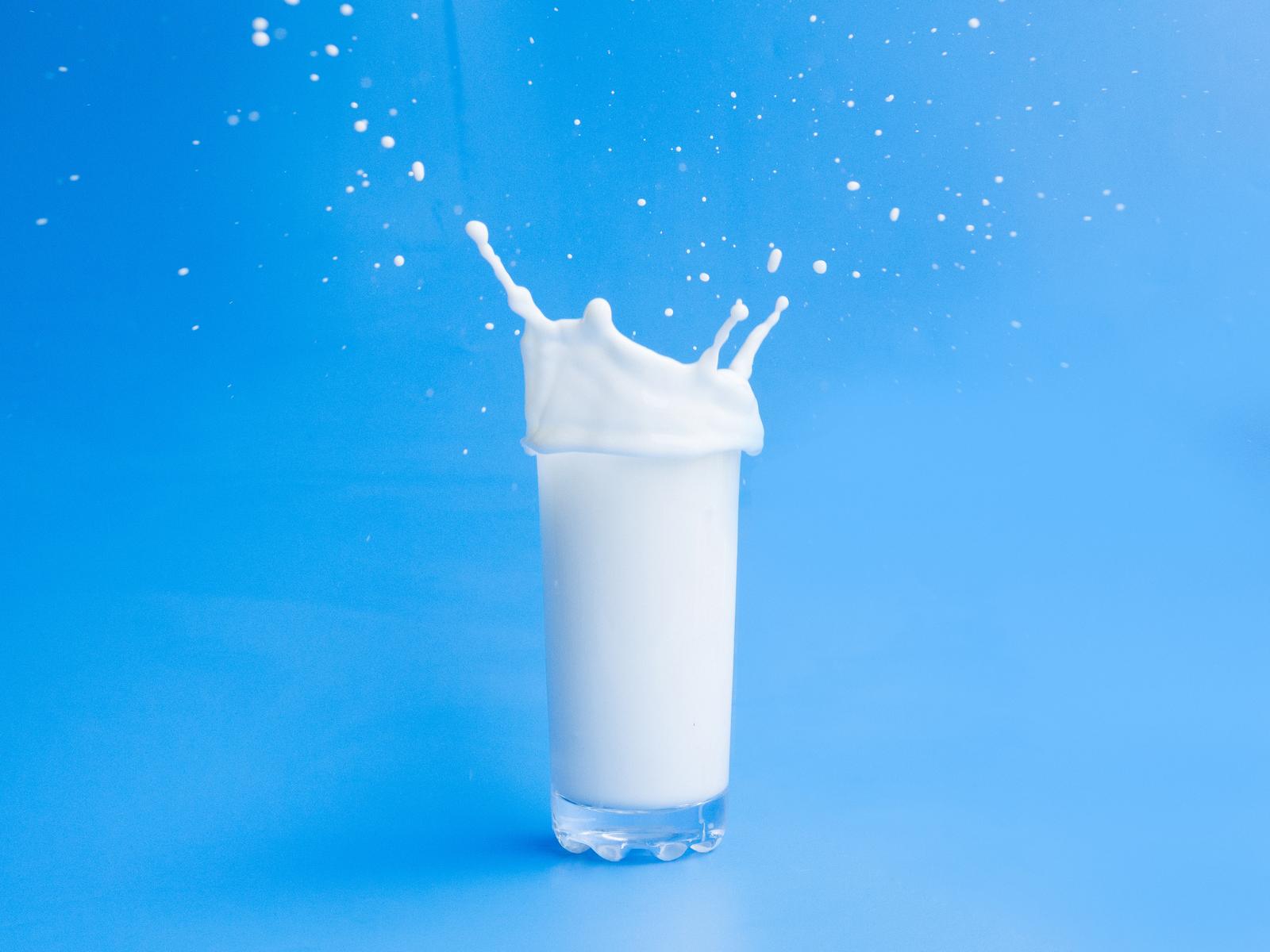 MILKEST OÜ - Piima tootmine Tallinnas