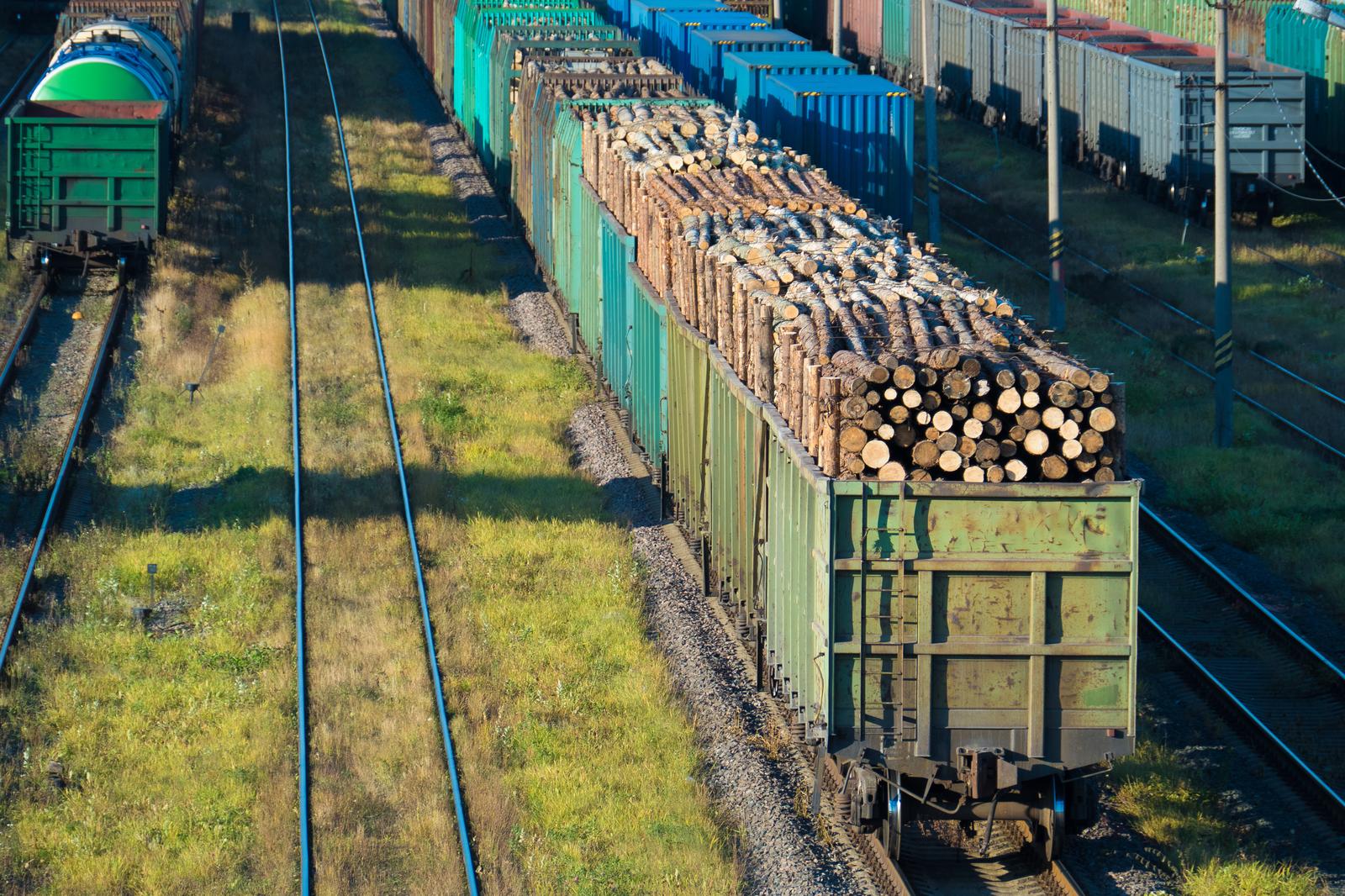GORAIL AS - PIKAAJALINE KOGEMUS Go Rail on eestimaisel erakapitalil põhinev ettevõte, mille põhitegevuseks on veoteenus...