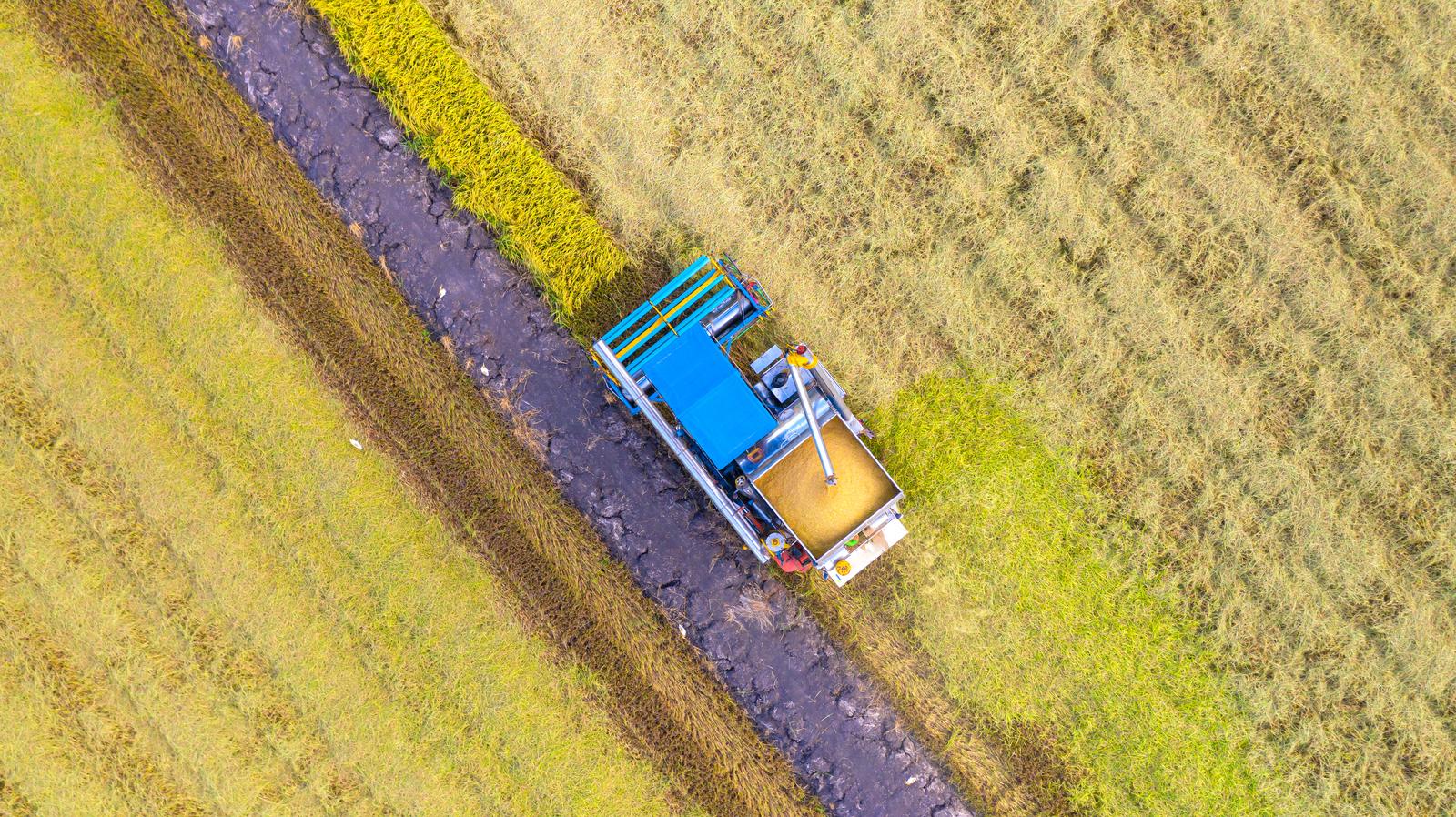 Rental and leasing of agricultural machinery and equipment in Rõuge vald