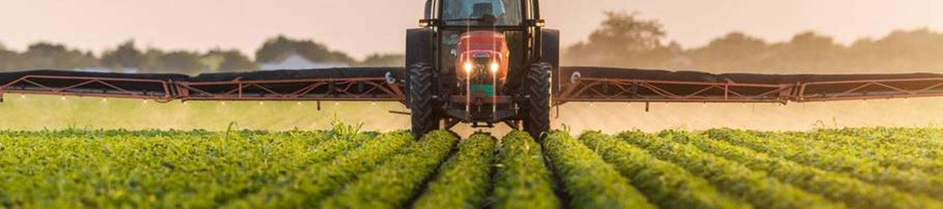 Mahetera OÜ alustas oma tegevust 2017. aasta veebruaris. Ettevõtte peamiseks tegevusalaks on mahepõllumajanduslik taimekasvatus ning 2022. aastal oli peamiseks