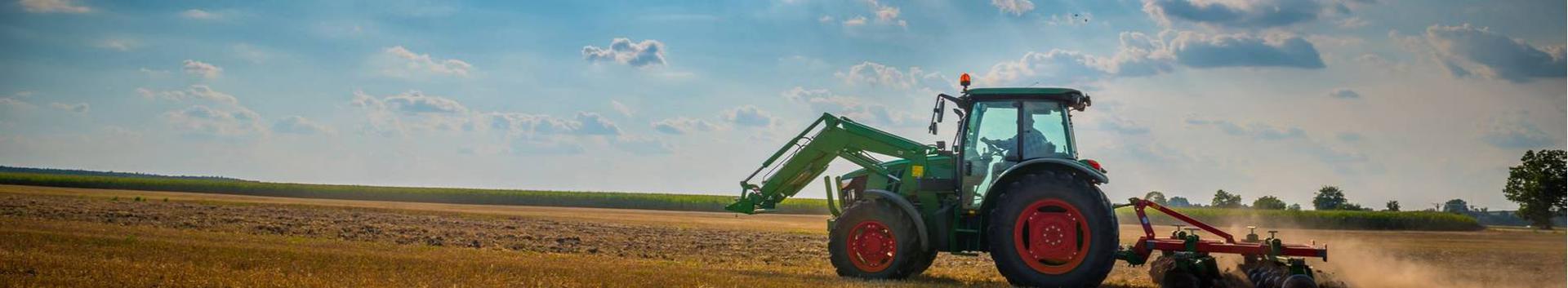 Suurim mainega ettevõte REINPAUL AGRO OÜ, maineskoor 1320, aktiivseid äriseoseid 6. Tegutseb peamiselt valdkonnas: Põllukultuuride kasvatus.