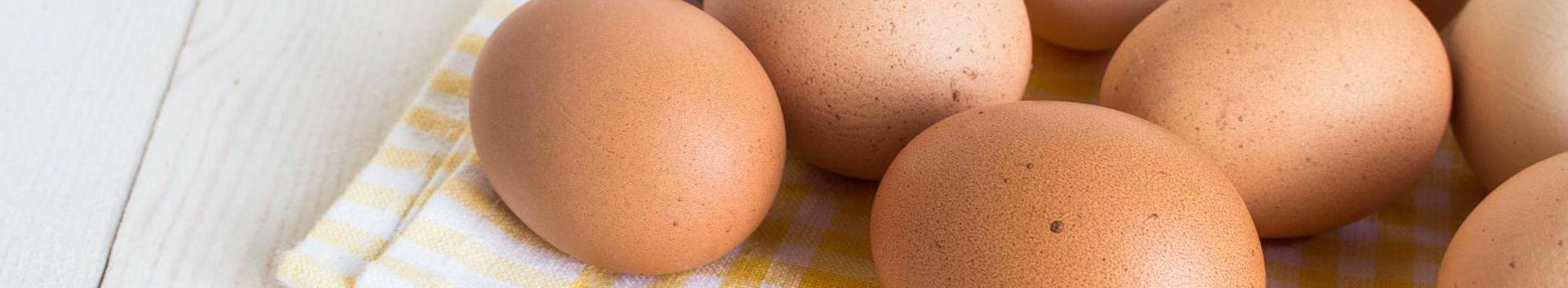 chicken eggs, local production, animal-friendly farming, free range chickens