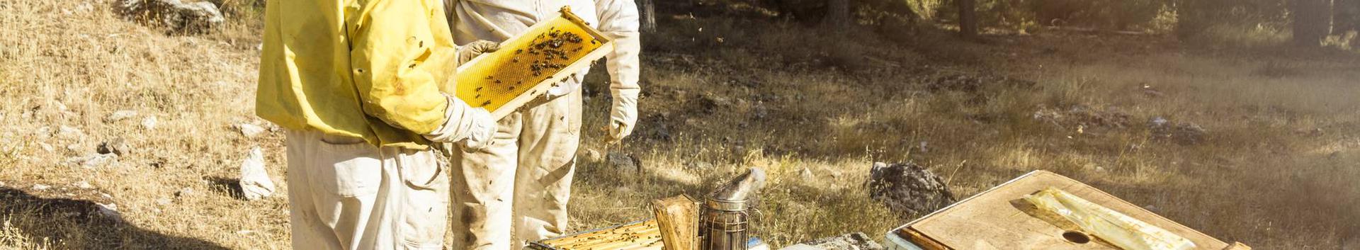 Läänemaa liigirikas loodus, mahepõllumajandus ja hajaasustus tagavad maitsva ja puhta meesaagi. Mesila asub Matsalu Rahvuspargis Kasari luha piiril.