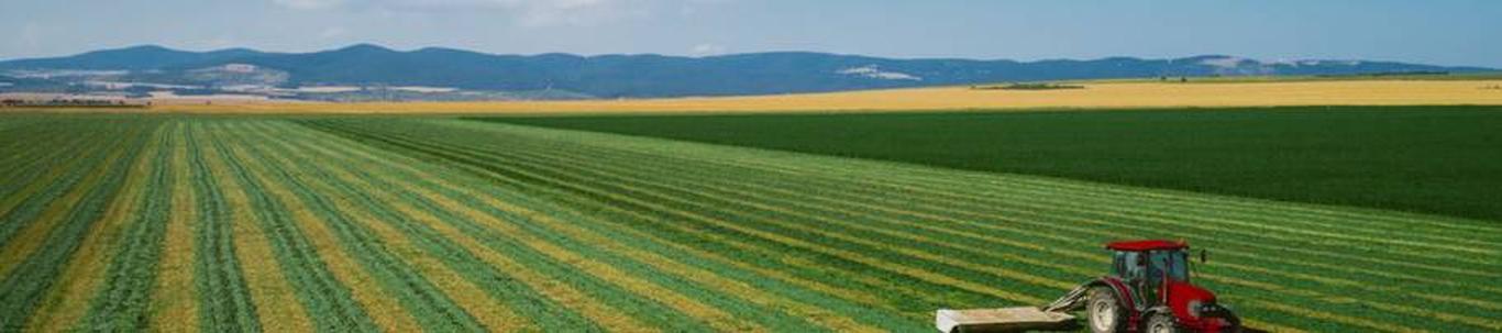 OLAVI VIRULA FIE valdkond on taimekasvatuse abitegevused. Samas valdkonnas (EMTAK 01611) on tegutsevaid ettevõtteid 2021 aasta seisuga kokku 732 tükki, kes anna