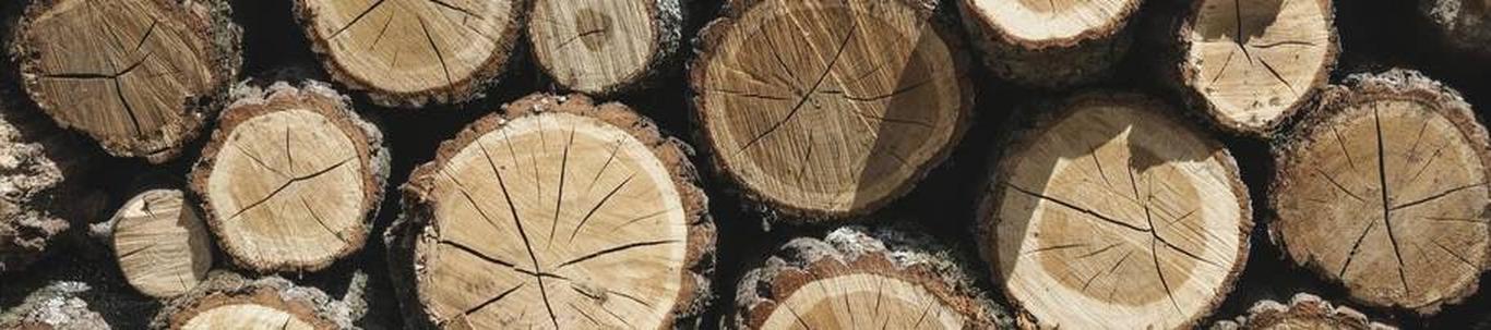 OÜ HESFORD on ettevõte, mille põhitegevuseks on kasvava metsa ülestöötamine (raieteenus). Tootmise põhinäitajad olid järgmised: realiseerimise netokäive oli 221 619 eurot. (cid:127) aruandeperioodil töötas osaühingus ...