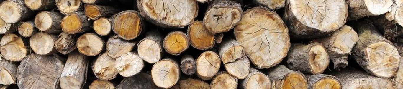 ENNO SOOMETS'A PEETRE TALU FIE valdkond on metsaraie. Samas valdkonnas (EMTAK 02201) on tegutsevaid ettevõtteid 2022 aasta seisuga kokku 911 tükki, kes annavad 