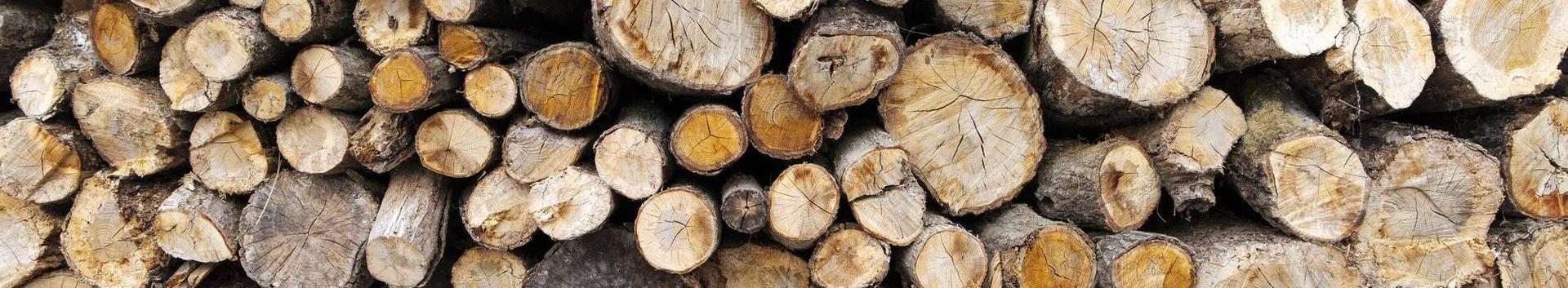 Usaldusväärne ja pikaajalise kogemusega Eesti omanikele kuuluv metsafirma. Metsa, metsamaa ja metsakinnistu ost parima hinnaga. PEFC sertifikaadiga. Vaata lähemalt!